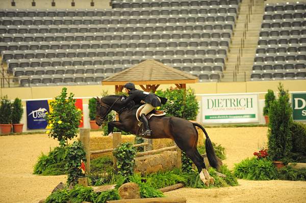 USHJA-Derby-8-20-10-DER_8450-QRnd1-Posse-ColleenAcosta-DDeRosaPhoto.jpg