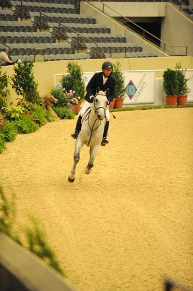 USHJA-Derby-8-20-10-DER_8468-QRnd1-RextheWonderHorse-RichardRhinehart-DDeRosaPhoto.jpg