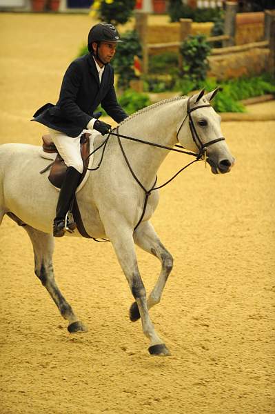 USHJA-Derby-8-20-10-DER_8469-QRnd1-RextheWonderHorse-RichardRhinehart-DDeRosaPhoto.jpg