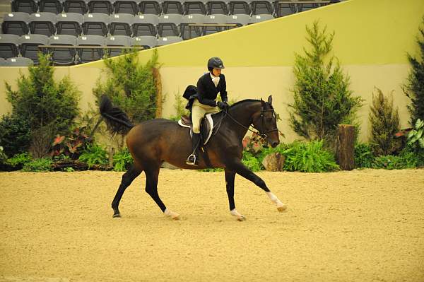 USHJA-Derby-8-20-10-DER_8524-QRnd1-Apparition-JordanSiegel-DDeRosaPhoto.jpg