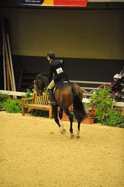USHJA-Derby-8-20-10-DER_8533-QRnd1-Apparition-JordanSiegel-DDeRosaPhoto.jpg