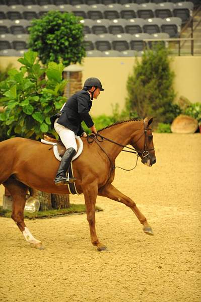 USHJA-Derby-8-20-10-DER_8583-QRnd1-Dubari-WillRoberts-DDeRosaPhoto.jpg