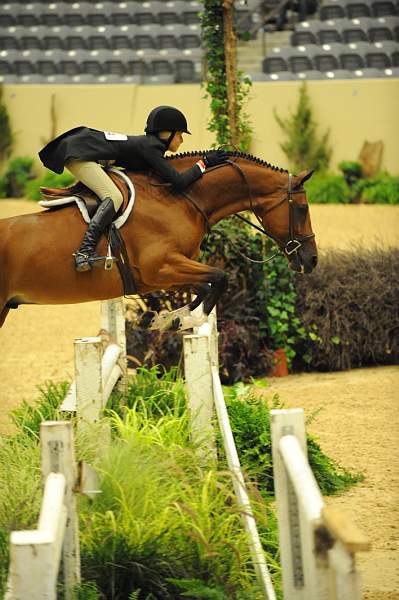 USHJA-Derby-8-20-10-DER_8601-QRnd1-Genuine-LillieKeenan-DDeRosaPhoto.jpg