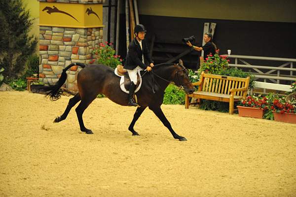 USHJA-Derby-8-20-10-DER_8636-QRnd1-CrownAffair-JohnFrench-DDeRosaPhoto.jpg