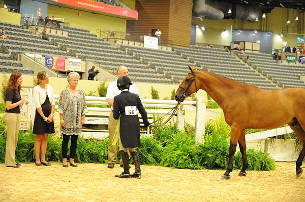 USHJA-Derby-8-20-10-DER_9087-QRnd1-Borealus-KatieDinan-DDeRosaPhoto.jpg