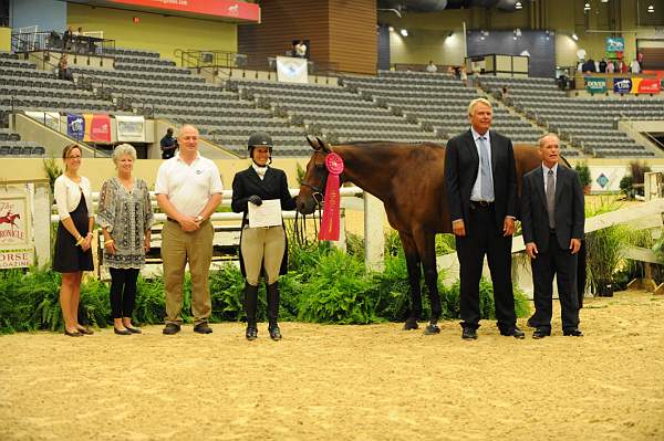 USHJA-Derby-8-20-10-DER_9107-QRnd1-Peridot-TammyProvost-DDeRosaPhoto.jpg