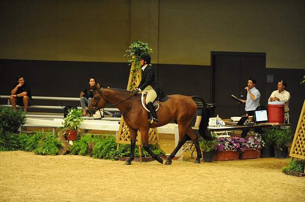 USHJA-Derby-8-21-10-CrseWk-Parade-DER_9449-DDeRosaPhoto.jpg