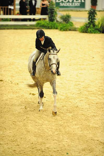 USHJA-Derby-8-21-10-CrseWk-Parade-DER_9522-DDeRosaPhoto.jpg