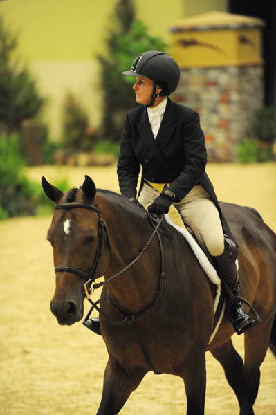 USHJA-Derby-8-21-10-Rnd2-DER1_9545-RockStar-LouisSerio-DDeRosaPhoto.jpg
