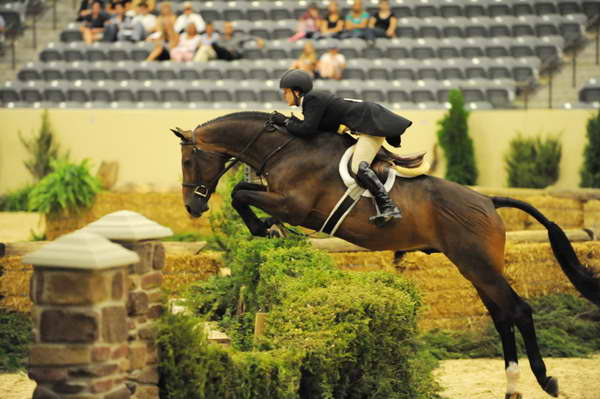 USHJA-Derby-8-21-10-Rnd2-DER1_9557-RockStar-LouisSerio-DDeRosaPhoto.jpg