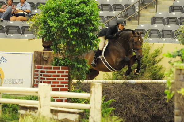 USHJA-Derby-8-21-10-Rnd2-DER1_9558-RockStar-LouisSerio-DDeRosaPhoto.jpg