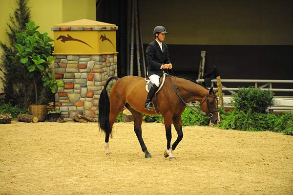 USHJA-Derby-8-21-10-Rnd2-DER1_9797-Lonestar-HuntTosh-DDeRosaPhoto.JPG