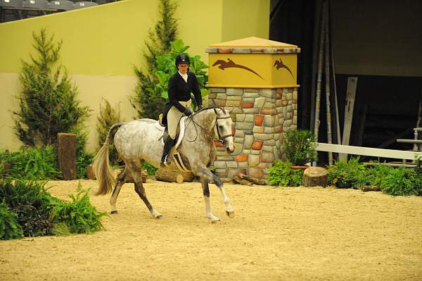 USHJA-Derby-Rnd2-DER2_0005-Listen-KelleyFarmer-DDeRosaPhoto.JPG