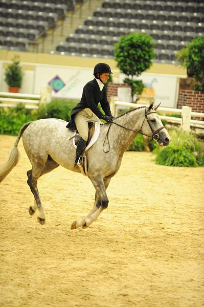 USHJA-Derby-Rnd2-DER2_0007-Listen-KelleyFarmer-DDeRosaPhoto.JPG