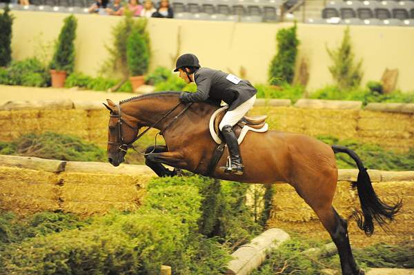 USHJA-Derby-Rnd2-DER2_0098-TellAll-PeterPletcher-DDeRosaPhoto.jpg
