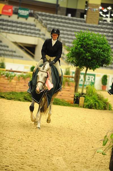 USHJA-Derby-8-21-10-Rnd3-DER2_0383-DDeRosaPhoto.jpg