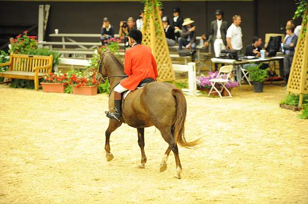 USHJA-Derby-8-20-10-CrseWk-DER_7378-DDeRosaPhoto.jpg