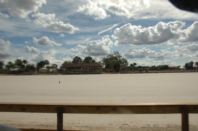 02-WEF-1-6-08-DeRosaPhoto.jpg