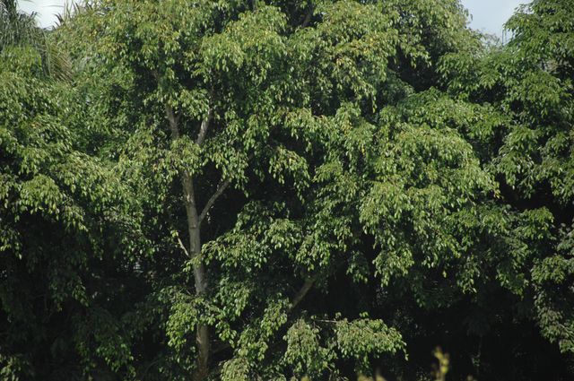 42-WEF-1-6-08-DeRosaPhoto.jpg