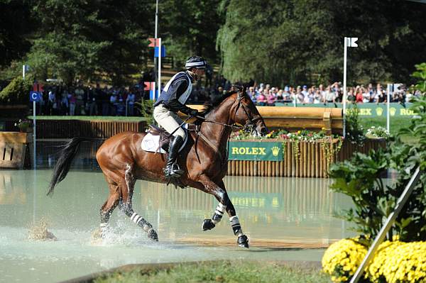 WEG2-10-2-10-EV-XX-3234-GrassValley-MarkTodd-DDeRosaPhoto.JPG