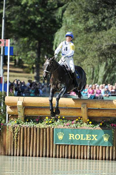 WEG2-10-2-10-EV-XX-3445-BallysGeronimo-ViktoriaCarlerback-DDeRosaPhoto.jpg