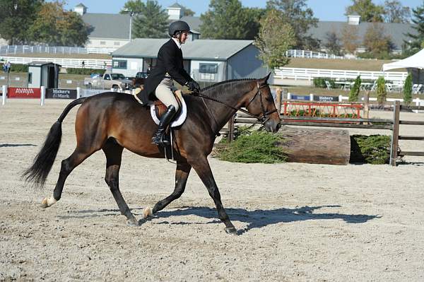 WEG3-10-6-10-Hunters-3518-DDeRosaPhoto.jpg