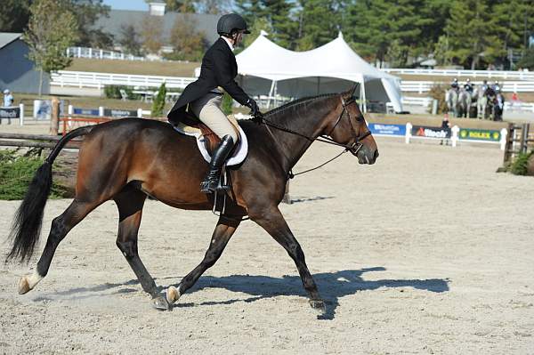 WEG3-10-6-10-Hunters-3519-DDeRosaPhoto.jpg