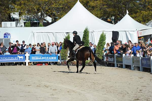 WEG3-10-6-10-Hunters-3536-DDeRosaPhoto.jpg