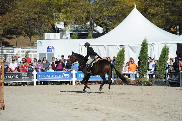 WEG3-10-6-10-Hunters-3537-DDeRosaPhoto.jpg