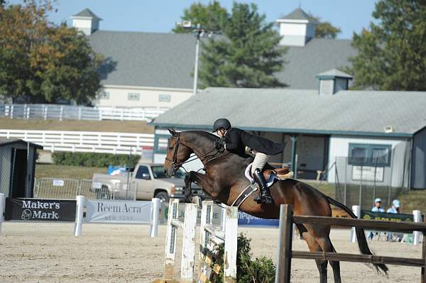 WEG3-10-6-10-Hunters-3539-DDeRosaPhoto.jpg