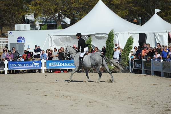 WEG3-10-6-10-Hunters-3575-DDeRosaPhoto.jpg