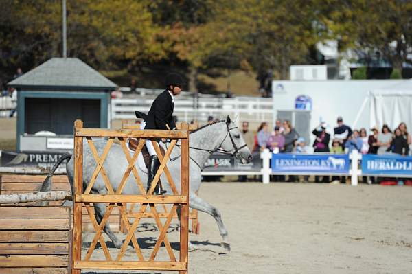 WEG3-10-6-10-Hunters-3587-DDeRosaPhoto.jpg