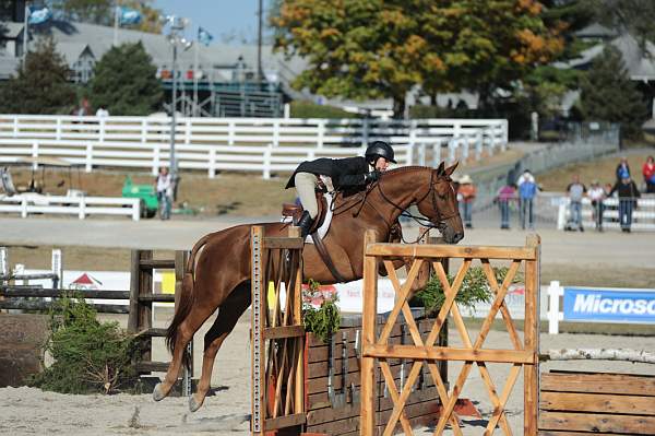 WEG3-10-6-10-Hunters-3601-DDeRosaPhoto.jpg