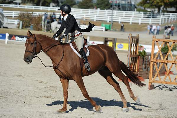 WEG3-10-6-10-Hunters-3606-DDeRosaPhoto.jpg