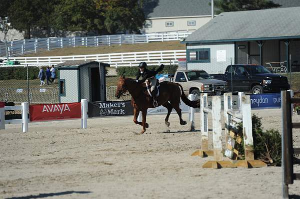 WEG3-10-6-10-Hunters-3616-DDeRosaPhoto.jpg