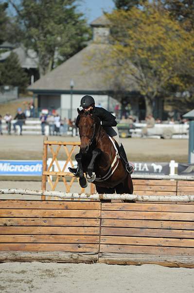 WEG3-10-6-10-Hunters-3628-DDeRosaPhoto.jpg
