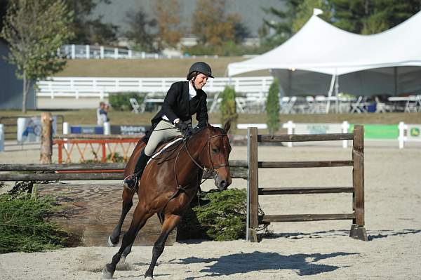 WEG3-10-6-10-Hunters-3633-DDeRosaPhoto.jpg