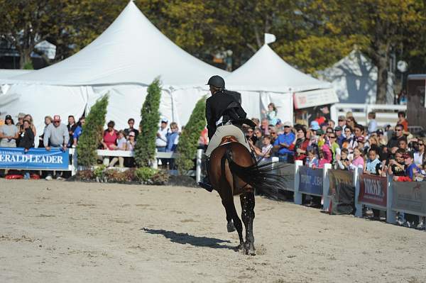 WEG3-10-6-10-Hunters-3637-DDeRosaPhoto.jpg