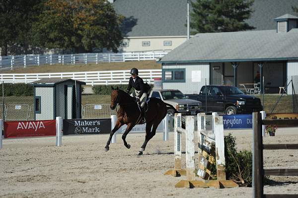 WEG3-10-6-10-Hunters-3638-DDeRosaPhoto.jpg