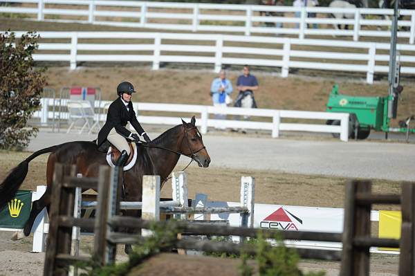 WEG3-10-6-10-Hunters-3672-DDeRosaPhoto.jpg