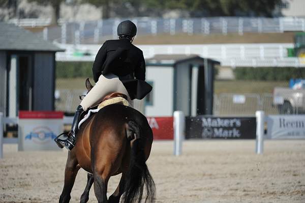 WEG3-10-6-10-Hunters-3687-DDeRosaPhoto.jpg
