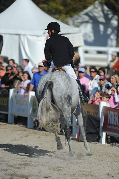 WEG3-10-6-10-Hunters-3709-DDeRosaPhoto.jpg