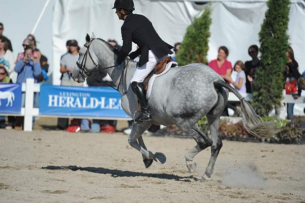 WEG3-10-6-10-Hunters-3728-DDeRosaPhoto.jpg