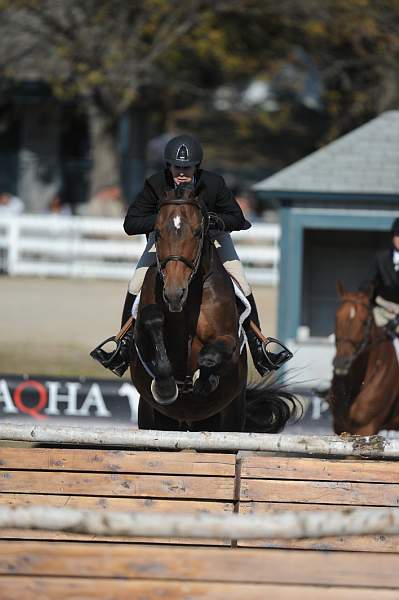 WEG3-10-6-10-Hunters-3750-DDeRosaPhoto.jpg
