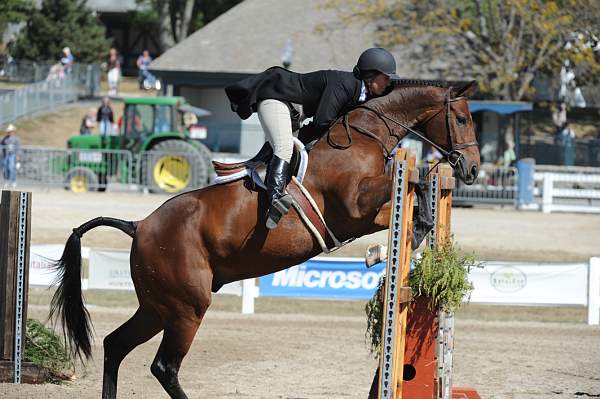 WEG3-10-7-10-Hunters-WEG_6024-DDeRosaPhoto.jpg