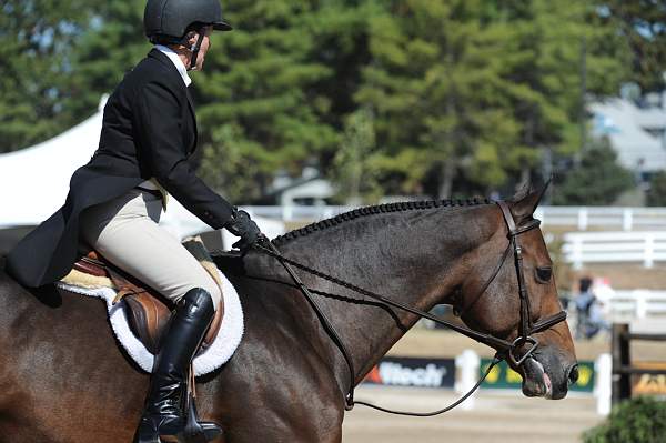 WEG3-10-7-10-Hunters-WEG_6027-DDeRosaPhoto.jpg