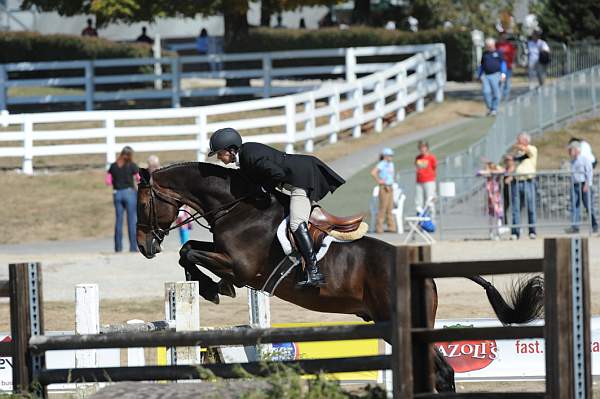 WEG3-10-7-10-Hunters-WEG_6039-DDeRosaPhoto.jpg
