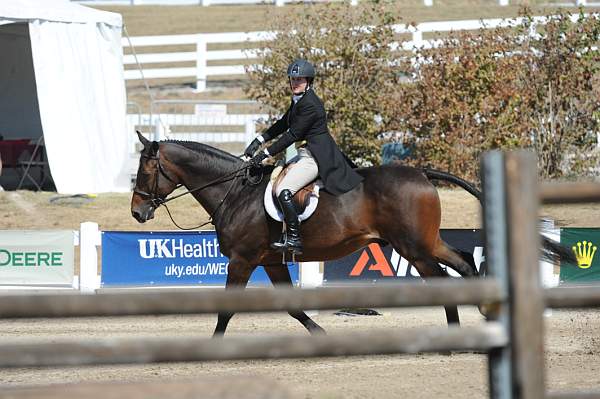 WEG3-10-7-10-Hunters-WEG_6040-DDeRosaPhoto.jpg