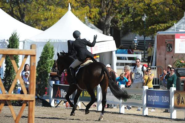 WEG3-10-7-10-Hunters-WEG_6046-DDeRosaPhoto.jpg