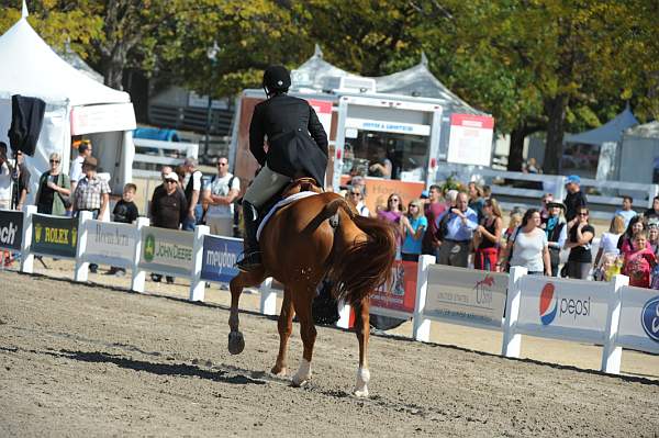 WEG3-10-7-10-Hunters-WEG_6073-DDeRosaPhoto.jpg